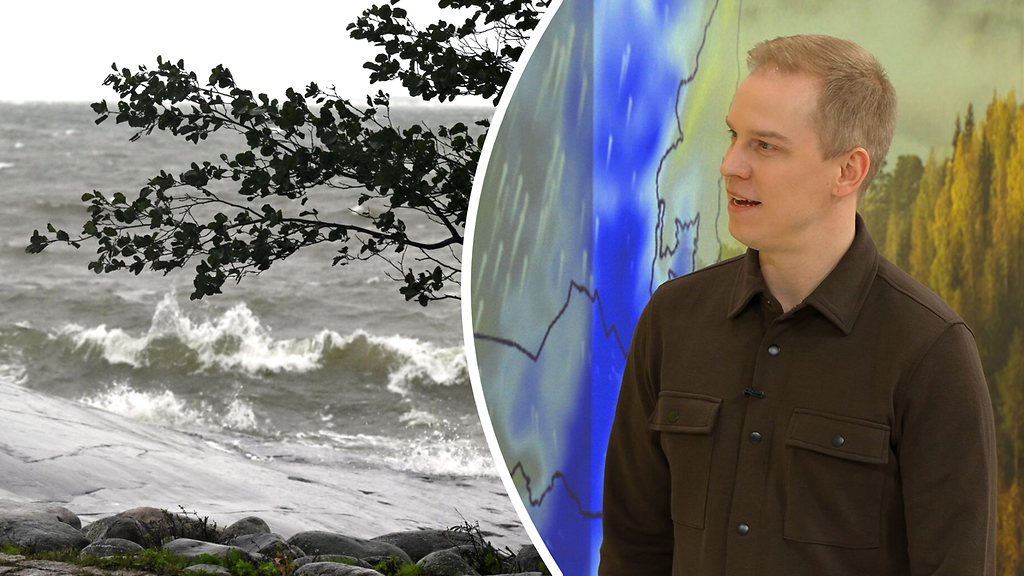 Viikko alkaa syysmyräkällä – luvassa jopa ensimmäiset lumisateet