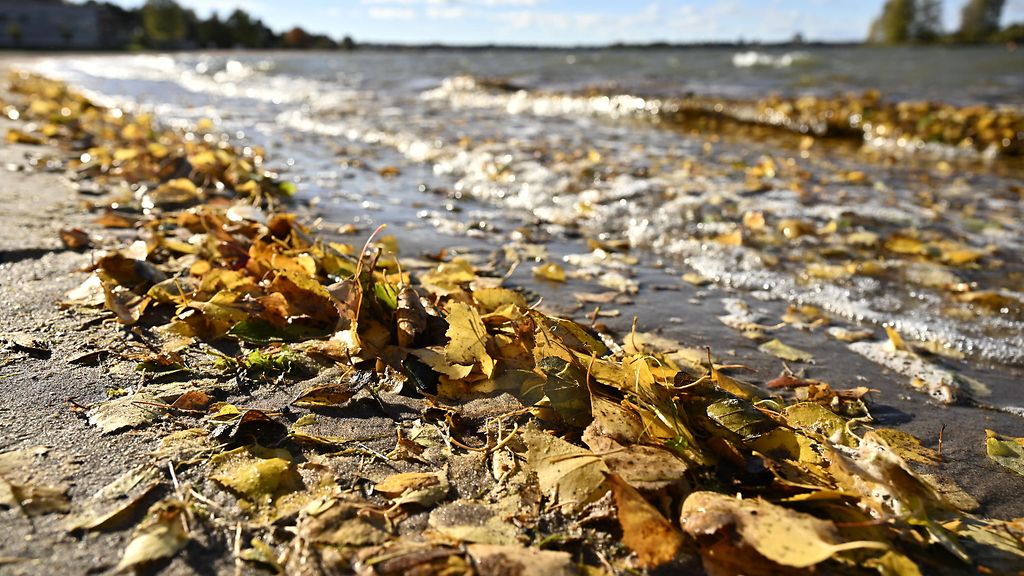 Meteorologi Aleksi Jokela: Täällä myrskysi kovimmin – seuraava myräkkä kolkuttelee jo
