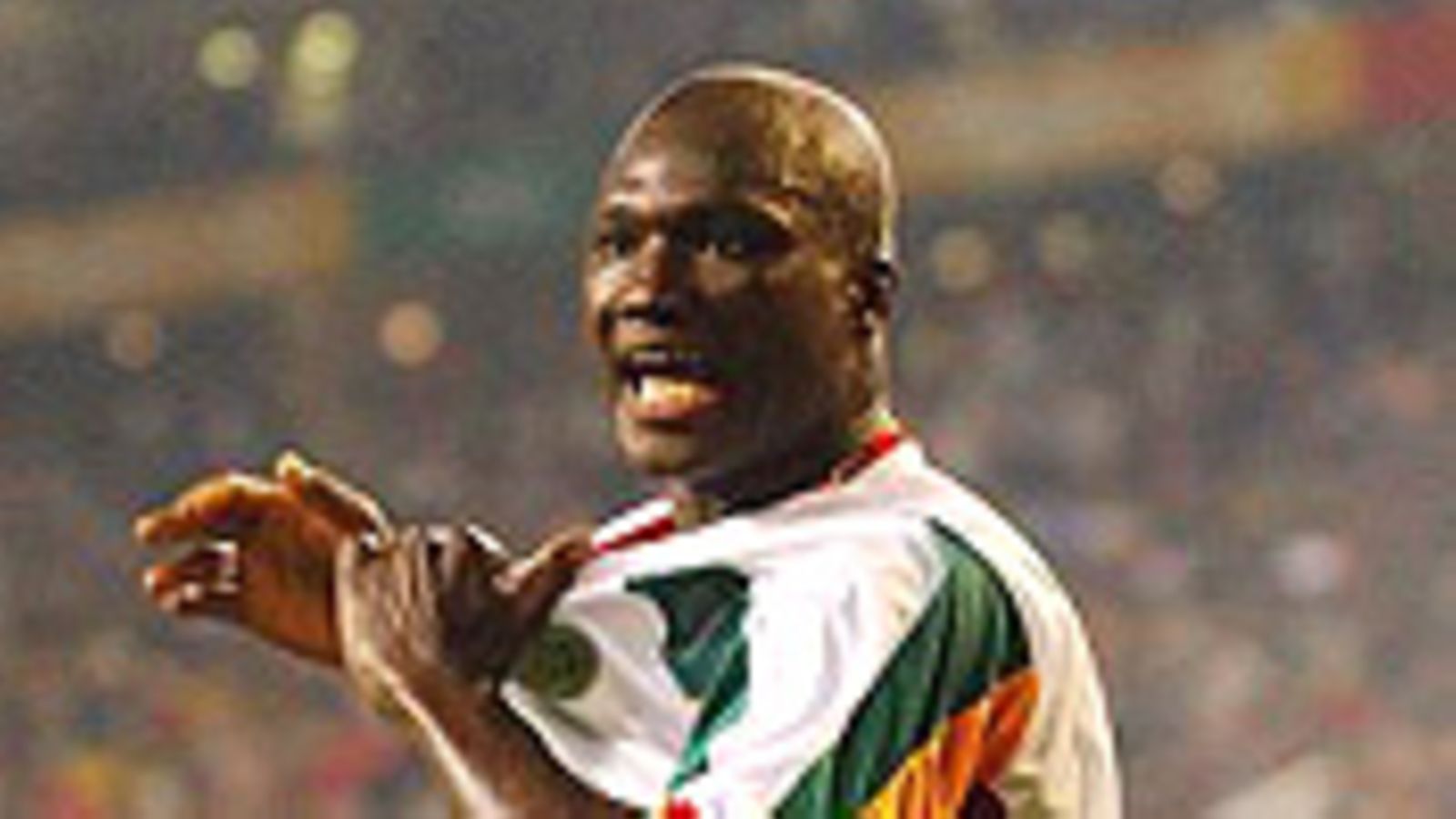 Senegalin Papa Bouba Diop (Photo: Shaun Botterill/Getty Images)
