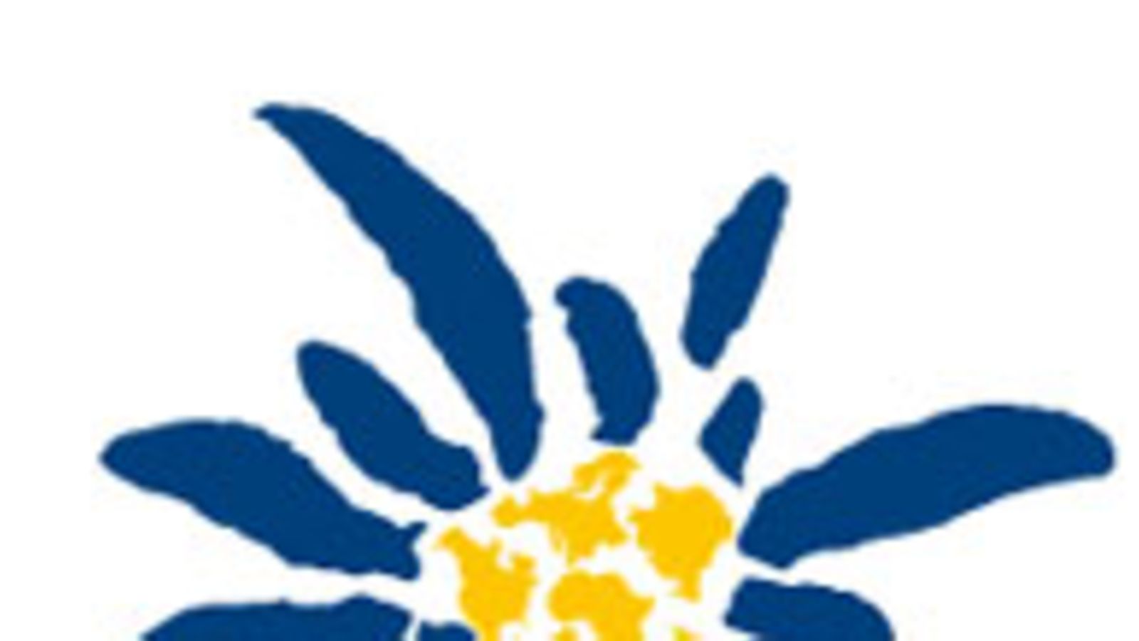 Salzburg 2014 hakulogo