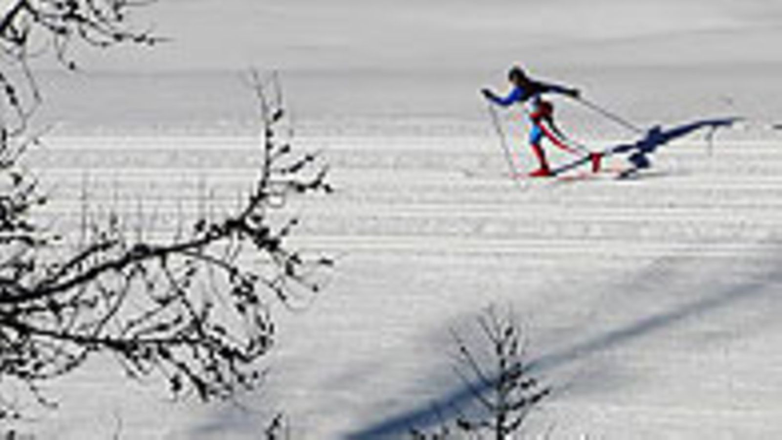 Torino 2006 hiihto, kuva: Shaun Botterill