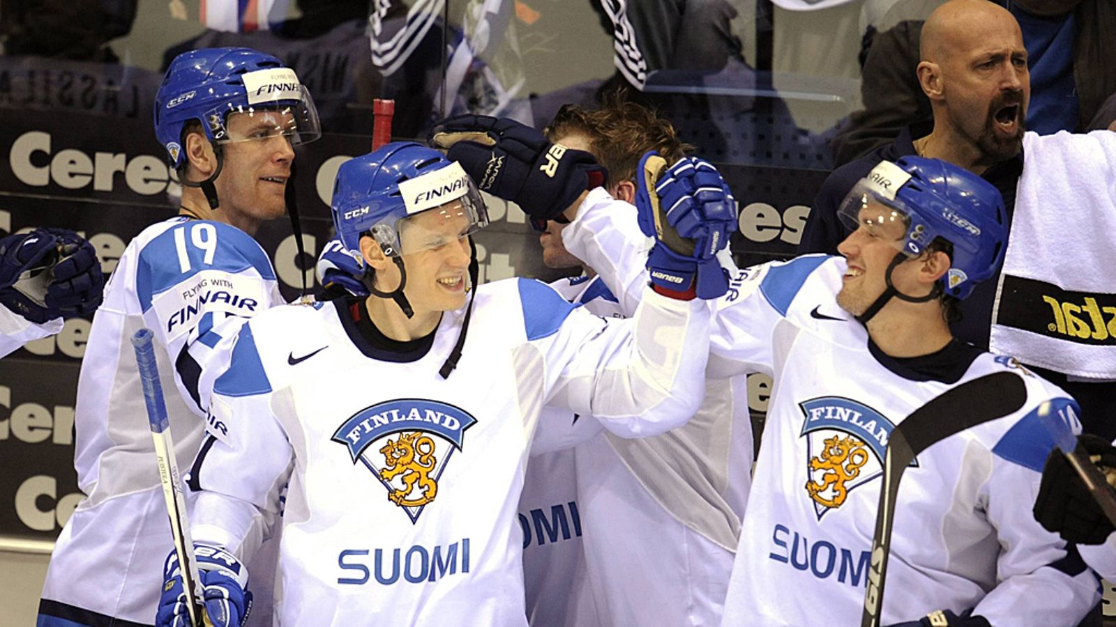 Leijonat juhlivat