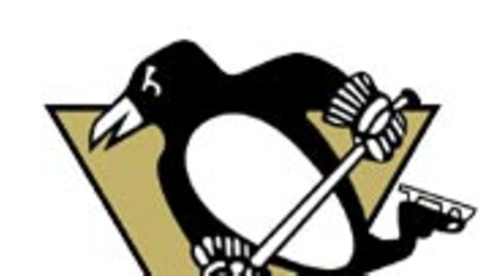 Pittsburgh Penguins