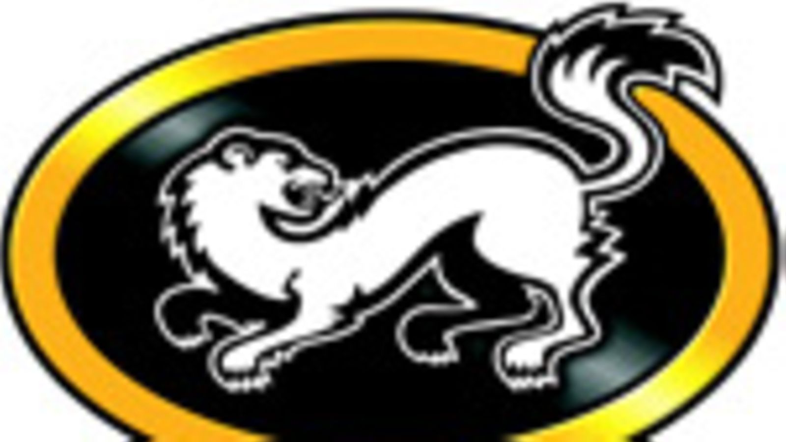 Kärpät