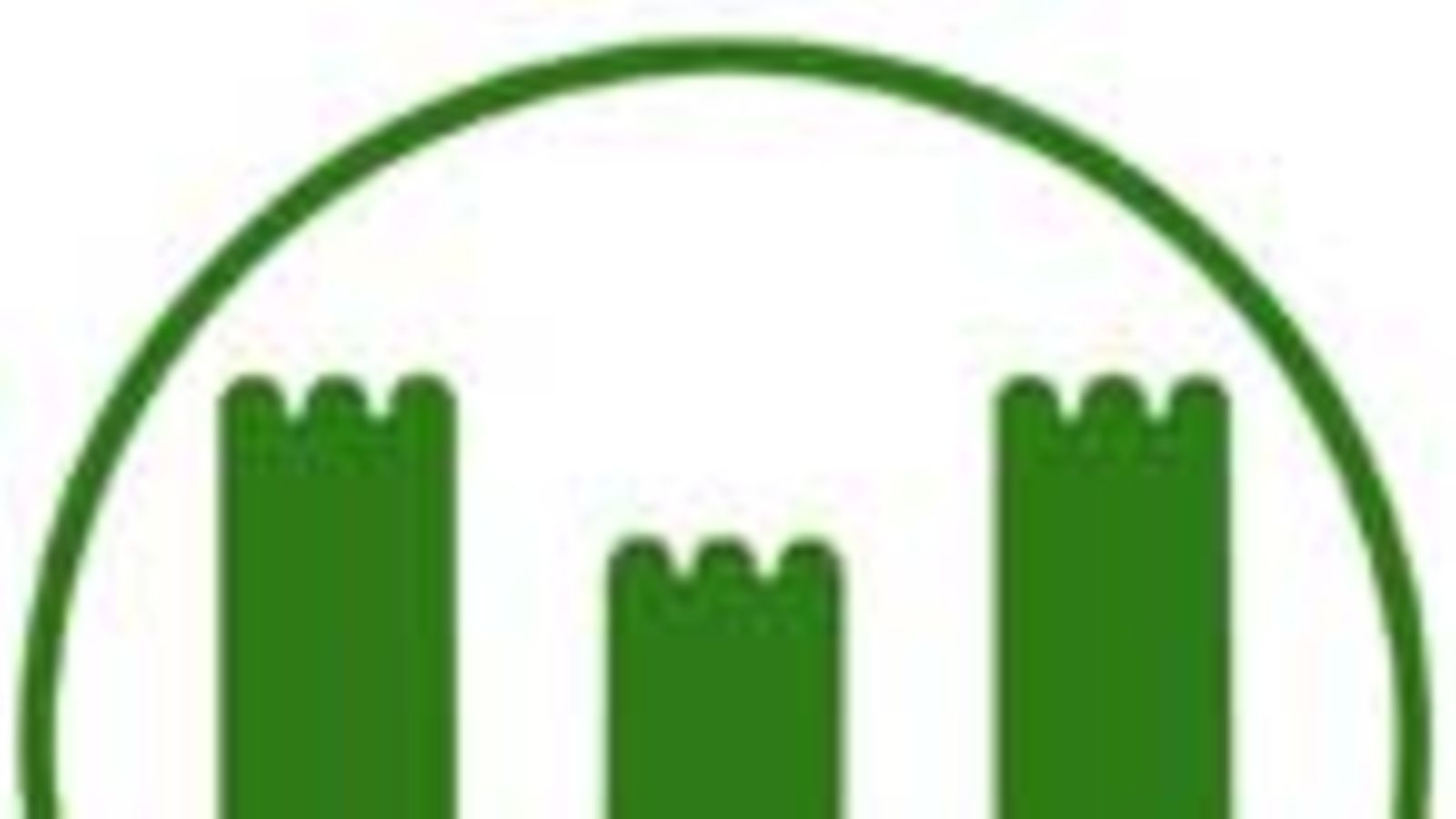 VfL Wolfsburg