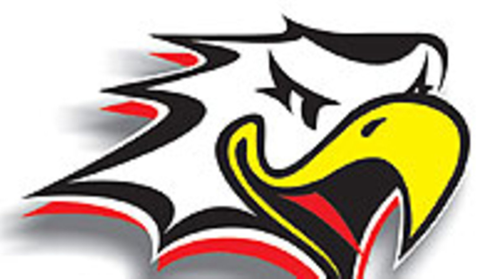 Vaasan Sport