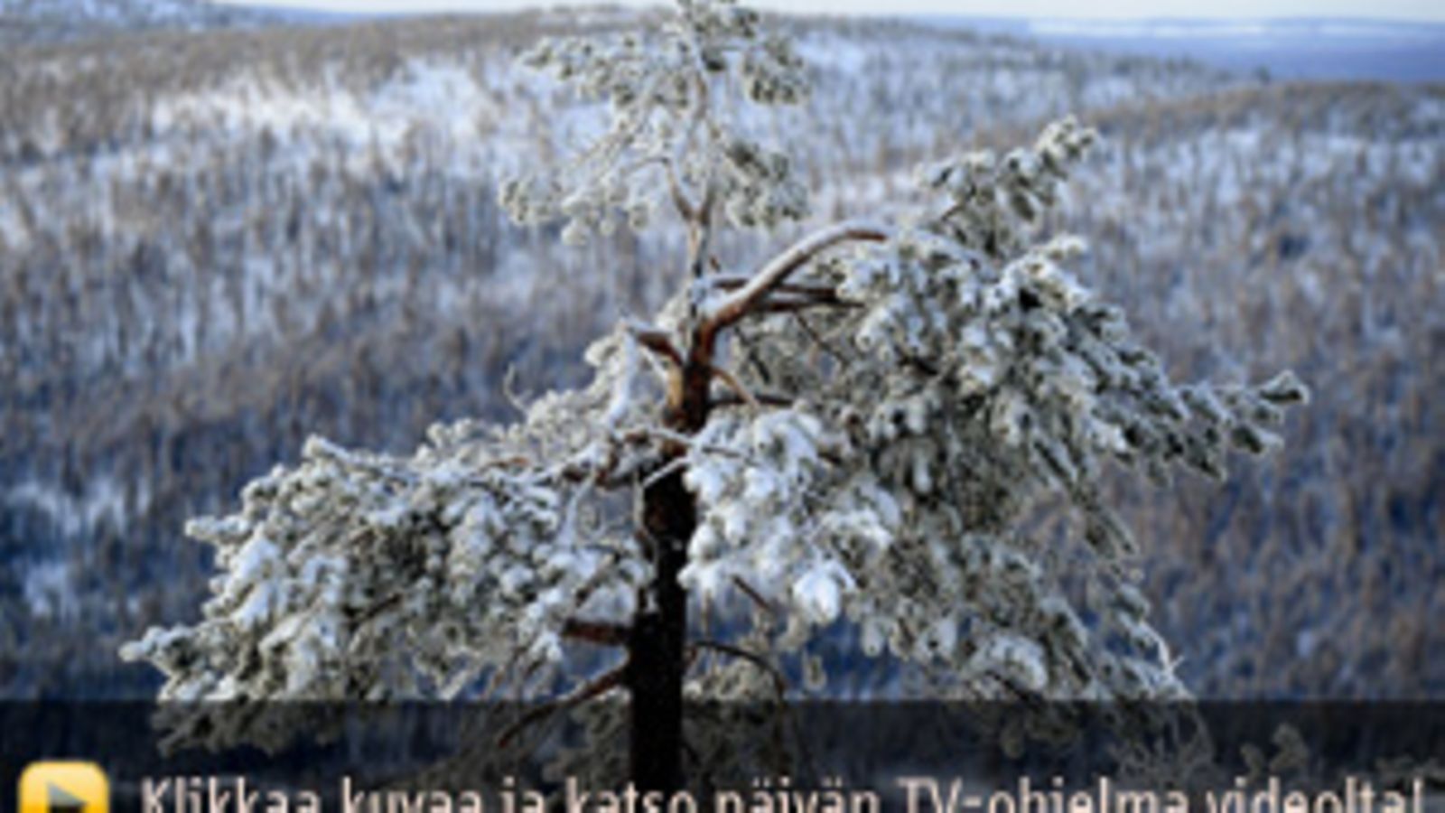 Lehtikuva/Heikki Saukkomaa