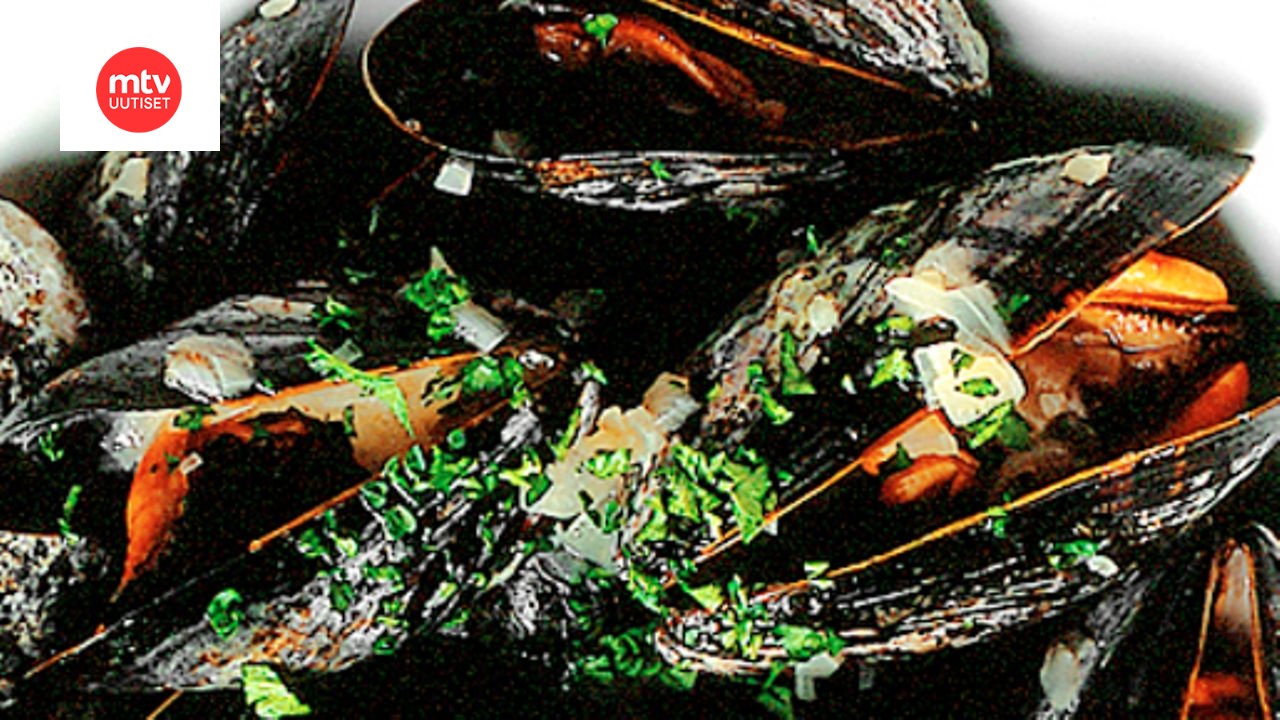 Belgialaiset moules marinières