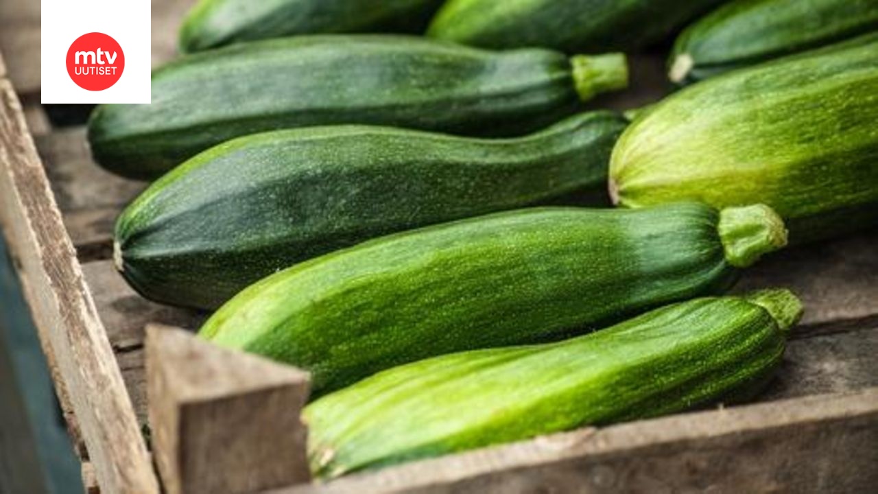 Marinoidut grillatut kesäkurpitsat ja munakoisot