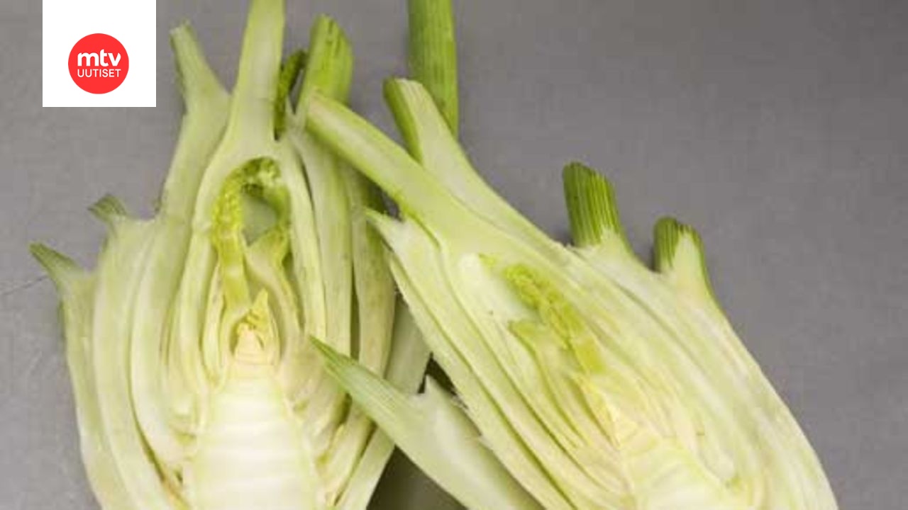 Fenkolipiiras
