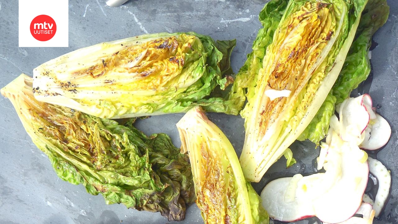 Grillattua romainesalaattia