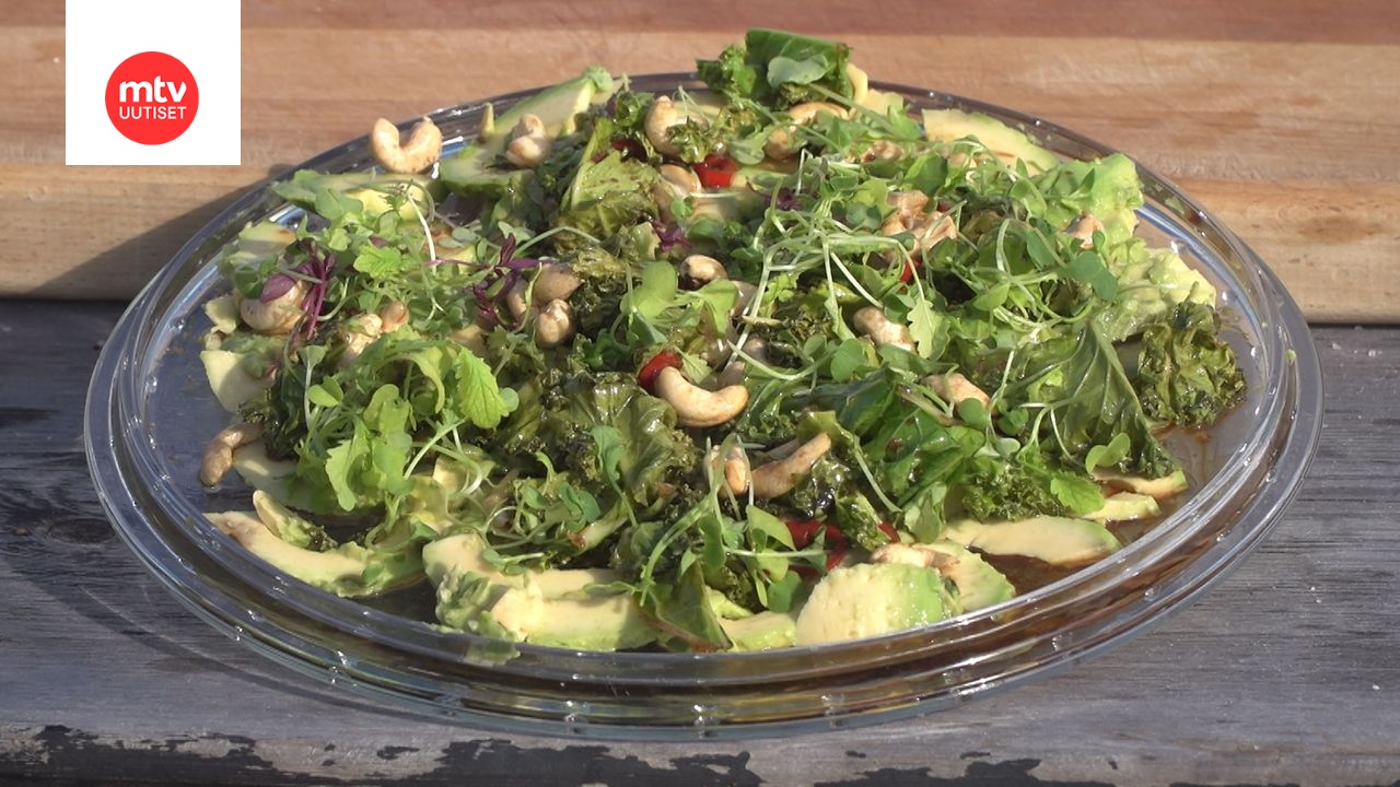 Avokado-carpaccio, pähkinöitä ja salaattia