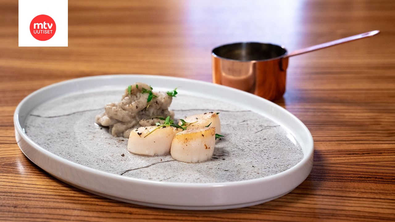 MasterChef VIP: Paistettuja kampasimpukoita, maa-artisokkapyrettä ja mustatorvisienikastiketta – Max Seeckin resepti