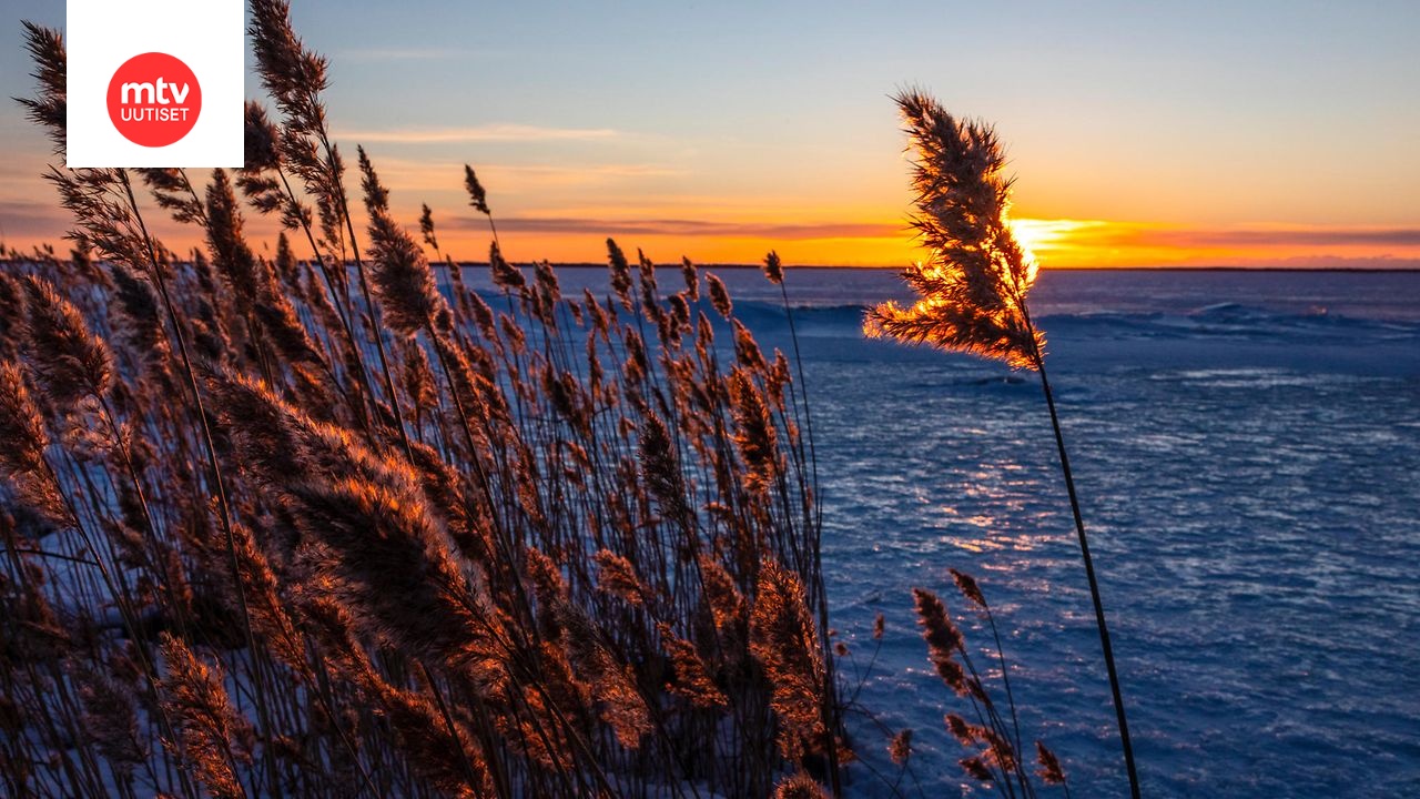 www.mtvuutiset.fi