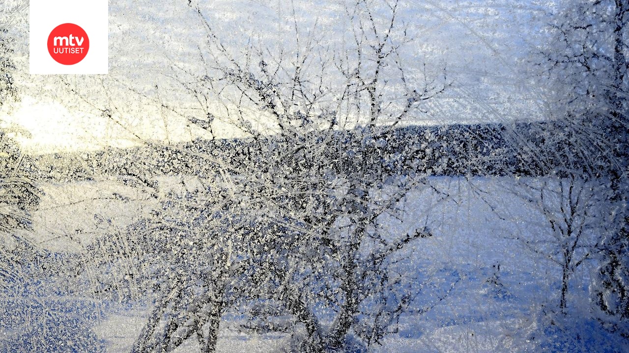 www.mtvuutiset.fi