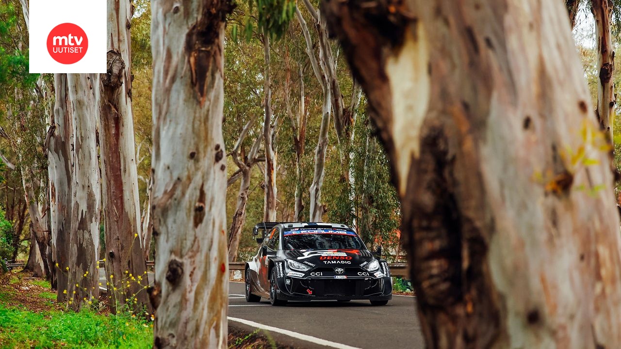 Kanarian MM-ralli 2025 lauantain liveseuranta | MTV Uutiset